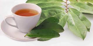 Maybe you would like to learn more about one of these? Manfaat Daun Sirsak Untuk Kesehatan Dan Kulit