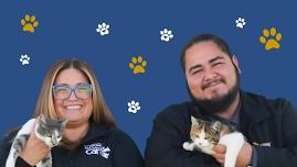 Reminder: Free Pet Adoptions