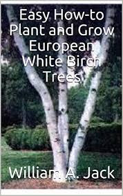 Plants for home garden landscaping and reforestation. Easy How To Plant And Grow European White Birch Trees Trees For Home And Garden Landscaping Book 3 English Edition Ebook Jack William A Amazon De Kindle Shop