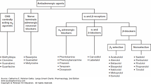 Medications Affecting Cardiac And Renal Function Lange