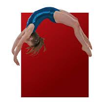 Do you enjoy making things? Homepage Rising Star Gymnastics