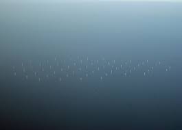 This windfarm was known as the q7 wind farm prior to its offical opening in june 2008. Princess Amalia Wind Farm Wikipedia