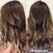 Chocolate Hair With Honey Blonde Highlights Blonde Hair With Highlights Types Of Hair Color Blonde Highlights