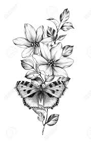 Hand Drawn Butterfly With Flowers Isolated On White Background Stock Photo Picture And Royalty Free Image Image 122091936 If you want to see this drawing in its actual size, click on first thumbnail below. hand drawn butterfly with flowers isolated on white background