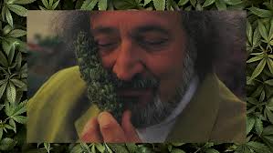 Celebrating the Legacy of Jack Herer: The Emperor of Hemp
