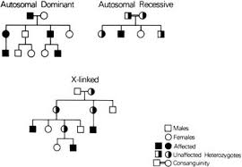 Molecular And Mendelian Disorders Glowm