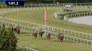 Support if you have any feedback or questions, drop us an email at support@saemi.biz. Penang Turf Club Home Of Champions