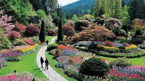 Pin By Cheryl On Magic Fairies And Mystical 2019 2021 Butchart Gardens Botanical Gardens Beautiful Gardens