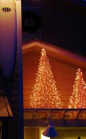 Maybe you would like to learn more about one of these? Crab Pot Christmas Trees