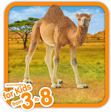 5) during an sas skydive in 1996, his parachute ripped at 16,000ft, causing him to fall and crush three vertebrae… Amazon Com Schleich Wild Life Arabian Camel Dromedary Toy Figurine For Kids Ages 3 8 With 1 Hump Toys Games