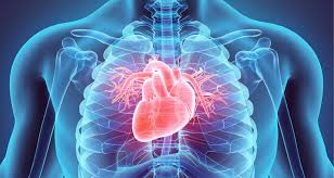 Cardiovascular Disease - MagnaCare Member Resources