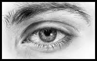 Drawing the correct proportions of the eyebrow, and establishing the correct alignment of the eyebrow with the eye itself. Eyebrows Drawing Lessons Tutorials For How To Draw Eye Brows Step By Step
