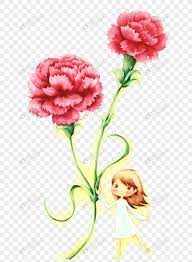 Carnation Carnation Carnation Flower Hand Painted Carnation Cartoon Carnation Flower Material Carnation Ma Web App Design Template Design Carnation Flower