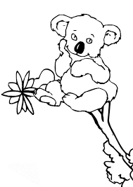 We have collected 40+ cute animal coloring page images of various designs for you to color. Koala 9431 Animals Printable Coloring Pages