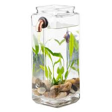 24687 Zoom1 Jpg 1200 1200 Betta Aquarium Aquarium Betta