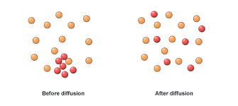 Diffusion