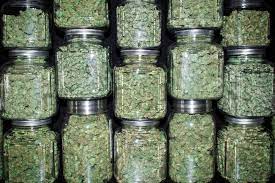 How To Dry, Cure And Store Weed Like A Pro | Cannabis Wiki