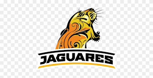 The jaguars compete in the national football. Jaguares Super Rugby Free Transparent Png Clipart Images Download