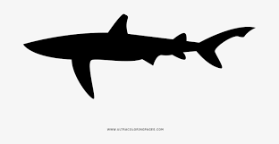 Color online with this game to color animals coloring pages and you will be able to share and to create your own gallery online. Shark Coloring Page Carcharhiniformes Free Transparent Png Download Pngkey