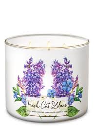 We did not find results for: Bath Body Works 3 Wick Candle In Fresh Cut Lilacs Candles Holders Home Kitchen Fcteutonia05 De