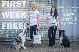 With warmer weather coming, make sure your pets stay happy, cool, and safe as they head into the great outdoors with these precautionary tips from veterinarian jean quaintance.overheatingnever leave your pets unattended in a car; Dog Walking Dog Sitting Rates Sniff Seattle Dog Walkers