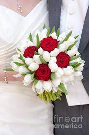 Two puppies and a bouquet of flowers. Red Rose And White Tulip Wedding Bouquet Beach Sheet For Sale By Lee Avison