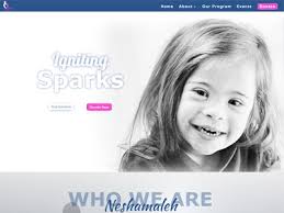 Web Design Portfolios