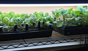 Want To Garden Like A Pro Heres A Simple And Affordable