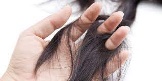 Sebelum kita cari cara atasi rambut gugur tu, apa kata kita ambil tahu puncanya terlebih dahulu? 14 Cara Menebalkan Rambut Yang Tipis Secara Alami Merdeka Com