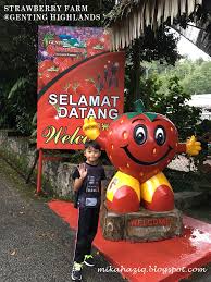 Looking for exclusive deals on genting highlands hotels? Mikahaziq Jalan Jalan Genting Best Western Ion Delemen And Genting Strawberry Farm
