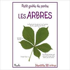 Reconnaissance Des Arbres Grace A Leurs Feuilles Leur Tronc Les Fleurs Et Leurs Fruits Mise En Paire D Images Classifiees De N Arbre Feuille Arbre Feuille