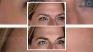 Swim with otters in Delaware: A splash of cuteness awaits!