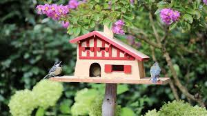 Si vous construisez la cabane de vos rêves avec attention, soin, et la patience qu'elle mérite, vous pouvez construire un village entier en bois dont vous pourrez profiter pendant des années. Fabriquer Un Nichoir A Oiseaux La Fabrique Diy