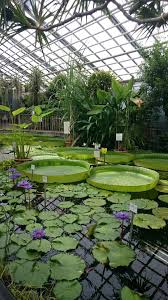 The botanischer garten jena is the second oldest botanical garden in germany, maintained by the university of jena and located at fürstengraben 26, jena, thuringia, germany. Jena Im Botanischen Garten Jena Botanischer Garten Thuringen