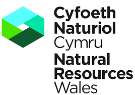 This page is about the various possible meanings of the acronym, abbreviation, shorthand or slang term: Natural Resources Wales
