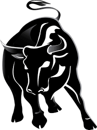 Black And White Bull 