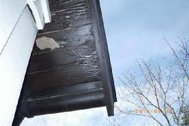 Image result for site:byggahus.se rötskada