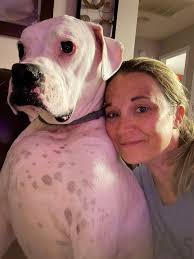 Guess pet name from alphabetical order?