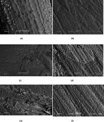 Supercoloring.com is a super fun for all ages: Preparation Properties And Wear Performance Evaluation Of Epoxy Palmyra Fiber Composites Biswal 2018 Polymer Composites Wiley Online Library