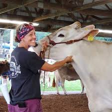 Dad Vs. Brown Swiss: Who Is Mary's Superhero?