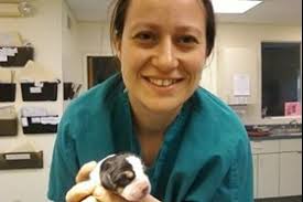 Medivet 24 Hour Thirsk