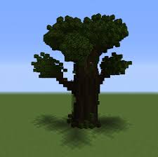 How To Grow A Dark Oak Tree In Minecraft