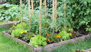 Want to learn how to start a garden, but not sure where to begin? Vegetable Gardening Learn How To Plan Start A Vegetable Garden