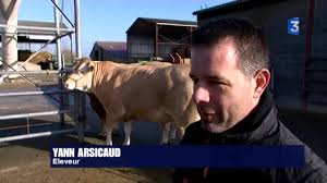 1 900 € iva esclusa. Sia 2015 2 Blondes D Aquitaine Se Preparent Pour Le Salon De L Agriculture Youtube