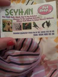 Pet Shop Gercegi Eminonu Seyhan Petshop Biz Bu Gun Eminonune Gittik Aksam Cicek Falan Almak Icin O Sirada Bir Suru Petshop Gorduk Iceri Girdigimizde Gorduguklerimi Size Anlatamam Bir Suru Cins Cins