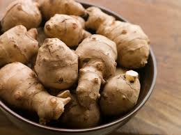 It is cultivated widely across the temperate zone for its tuber, which is used as a root vegetable. Jerusalem Artichokes Five Health Benefits A Venison Stew Recipe