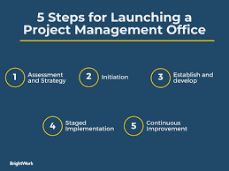 Launching a Project Management Office: Assessment and Strategy