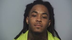 Roanoke gang members arrested with meth, heroin, and firearms after car  chase: Police