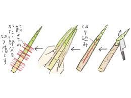 春の山菜「根曲がり竹」の下ごしらえとおすすめの食べ方。“下ゆでいらず”でたけのこよりお手軽／家庭料理家・本田明子さん - 天然生活web