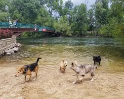 50% off mantlepiece garland arrangement. 10 Best Things To Do With Your Dog In Boise Idaho